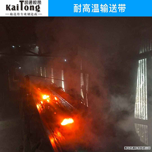 耐低温保送带